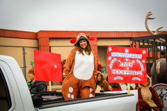 Festival-of-Trees-2024-24