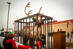 Festival-of-Trees-2024-30