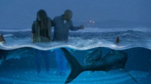 Being Circled By Insurance Sharks