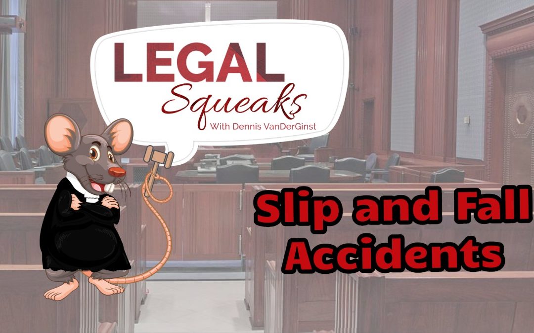Slip and Fall Accidents | Legal Squeaks | Episode 002