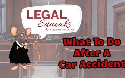 What to do After a Car Accident | Legal Squeaks | Episode 011