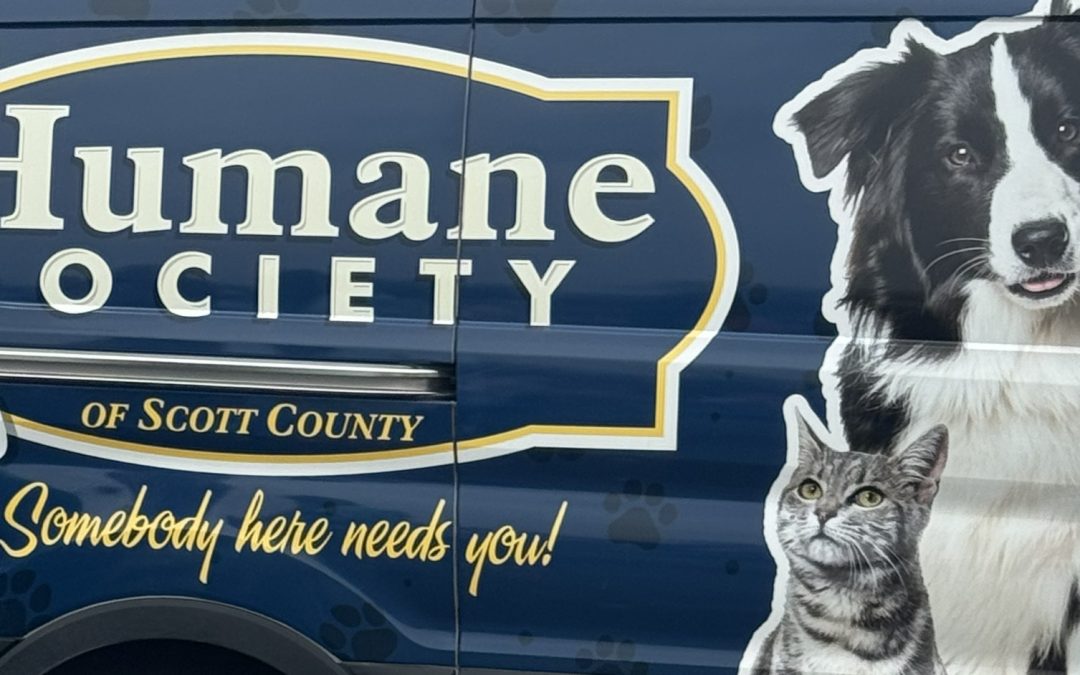 Rescue Rocks Raises Funds, Awareness, and New Beginnings for Quad Cities Shelter Pets